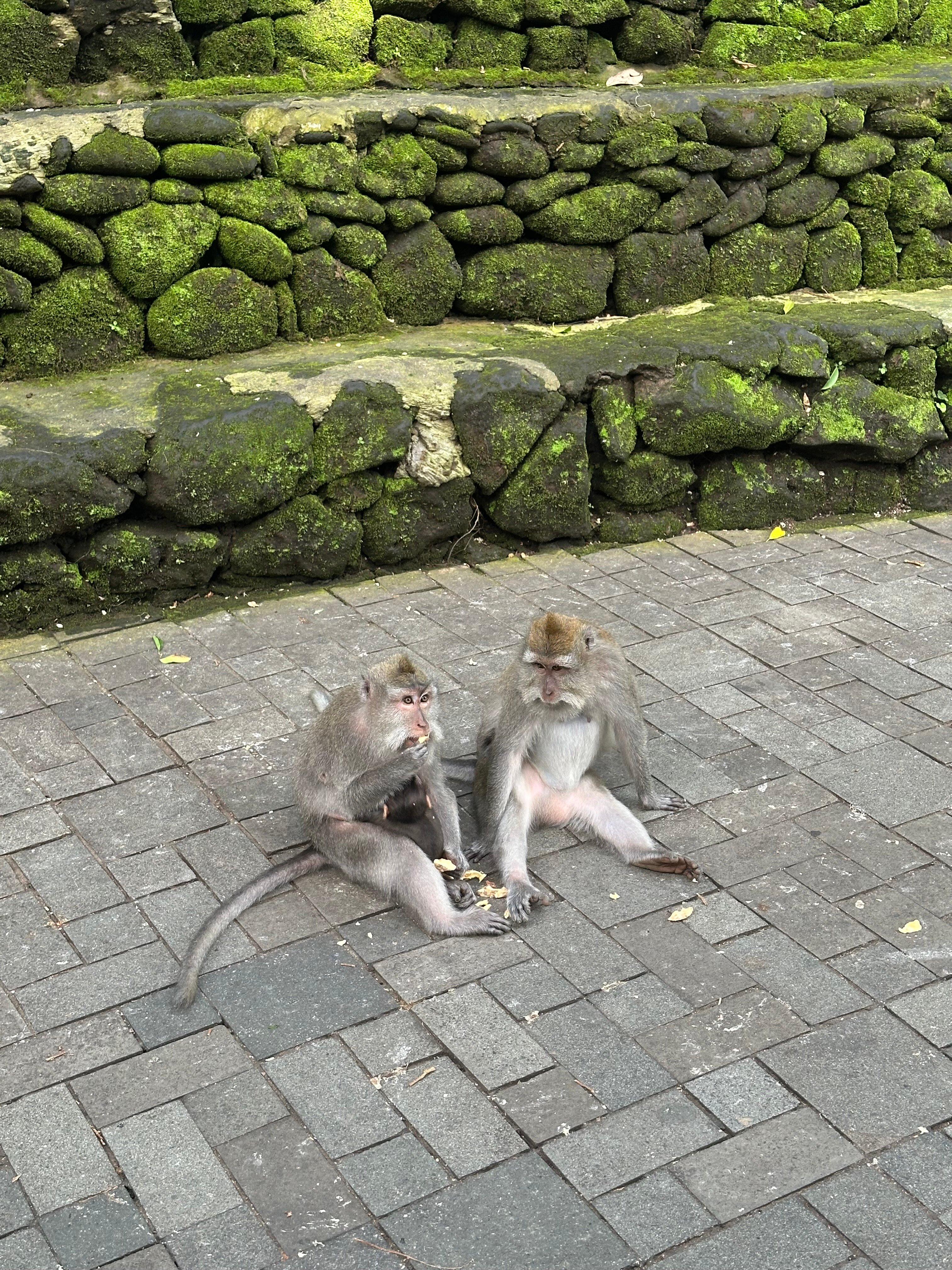 Фото Villa Semana Resort & SPA