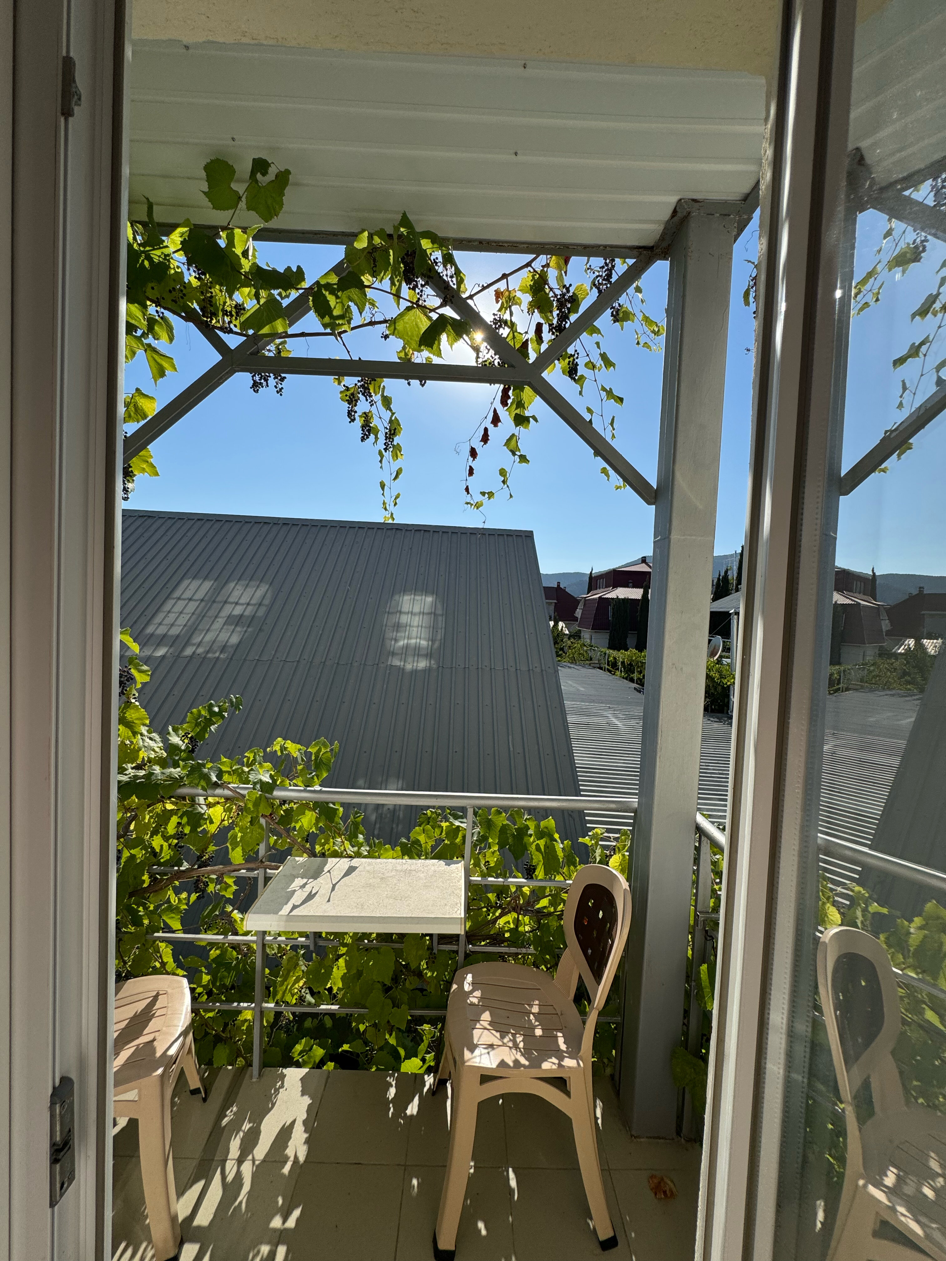 Фото Московский