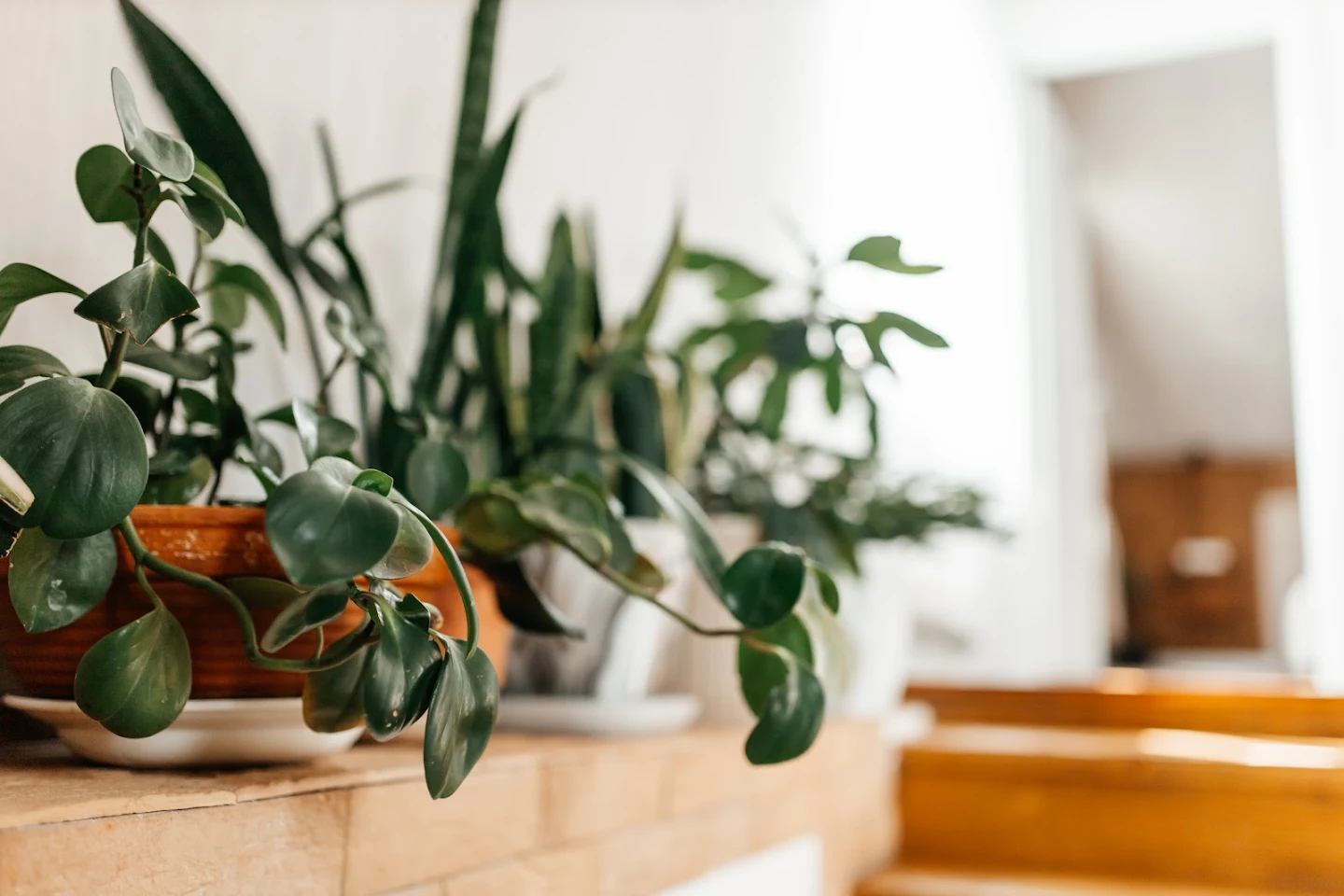 Фото Точка 8