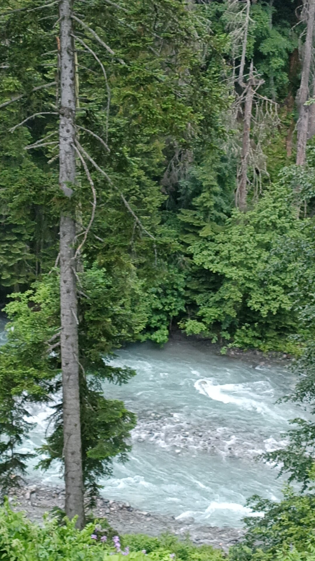 Фото АльпенХауз