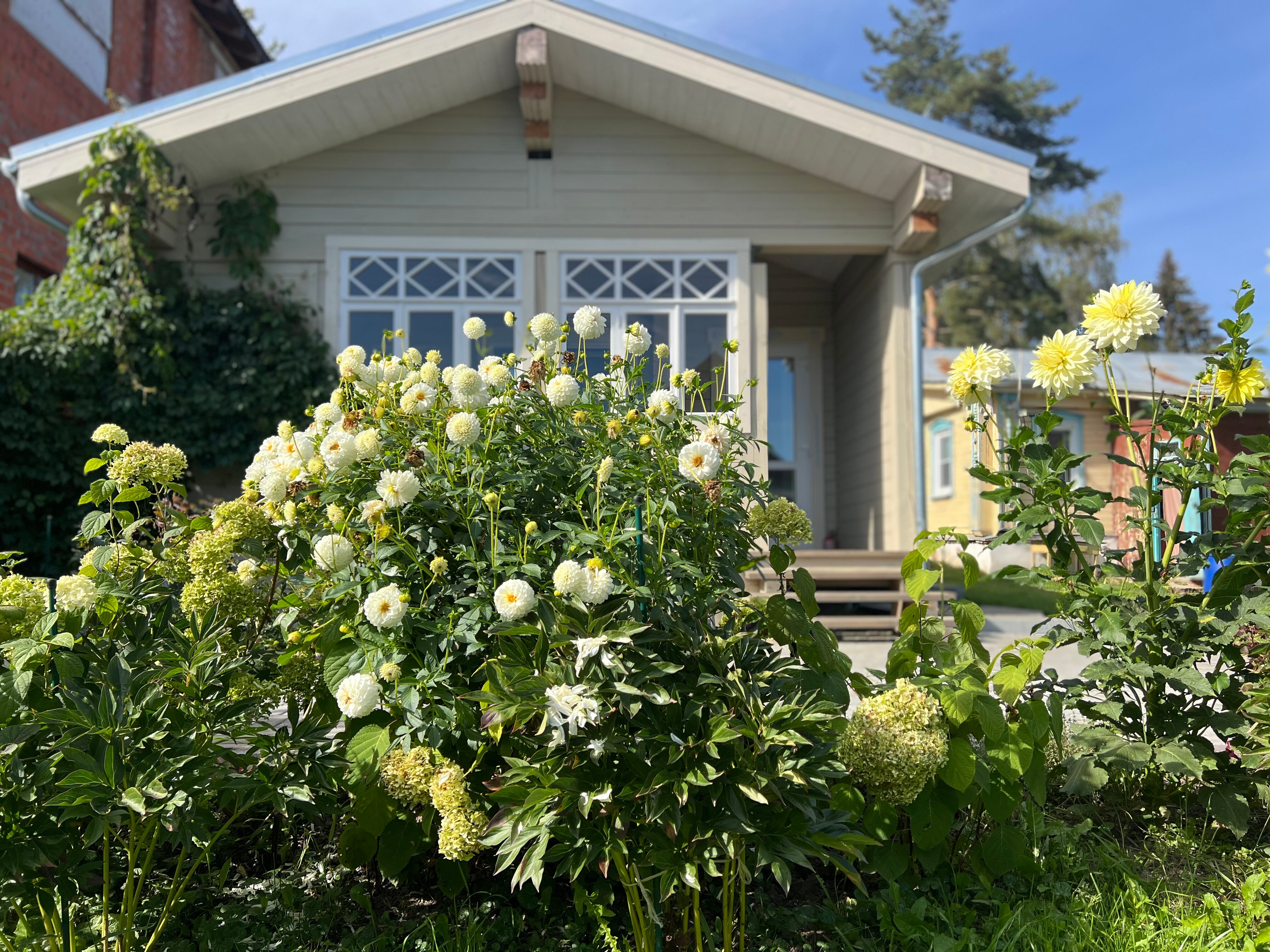 Фото СуздальСад