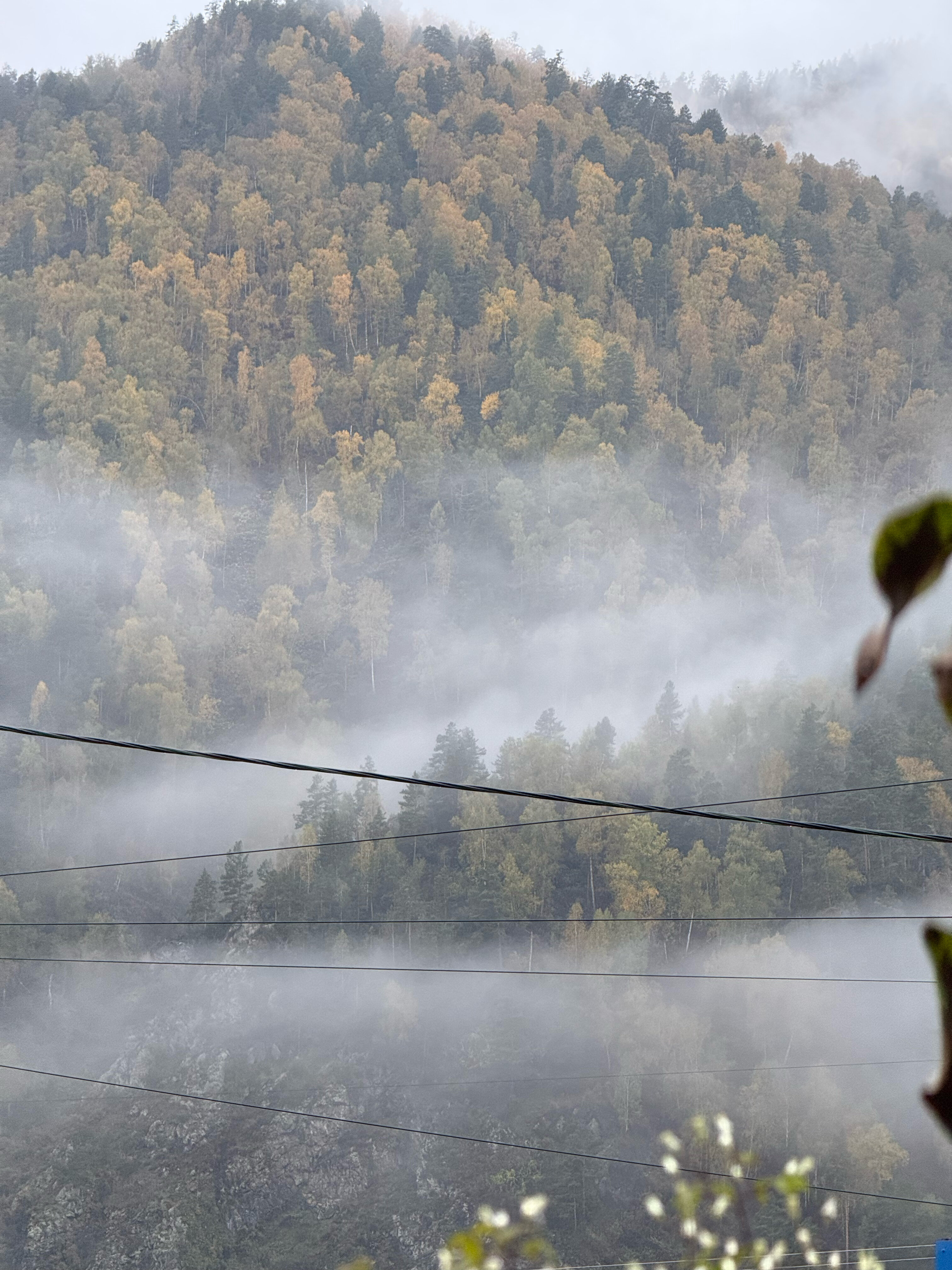 Фото Усадьба Каменевых