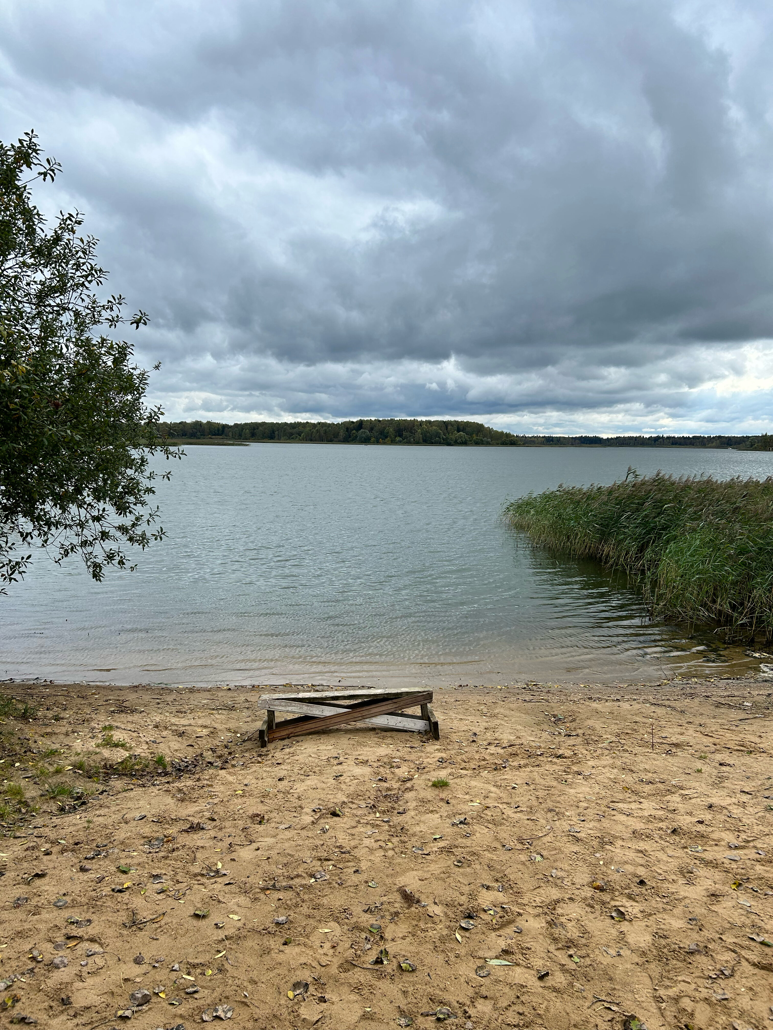 Фото Ели тут