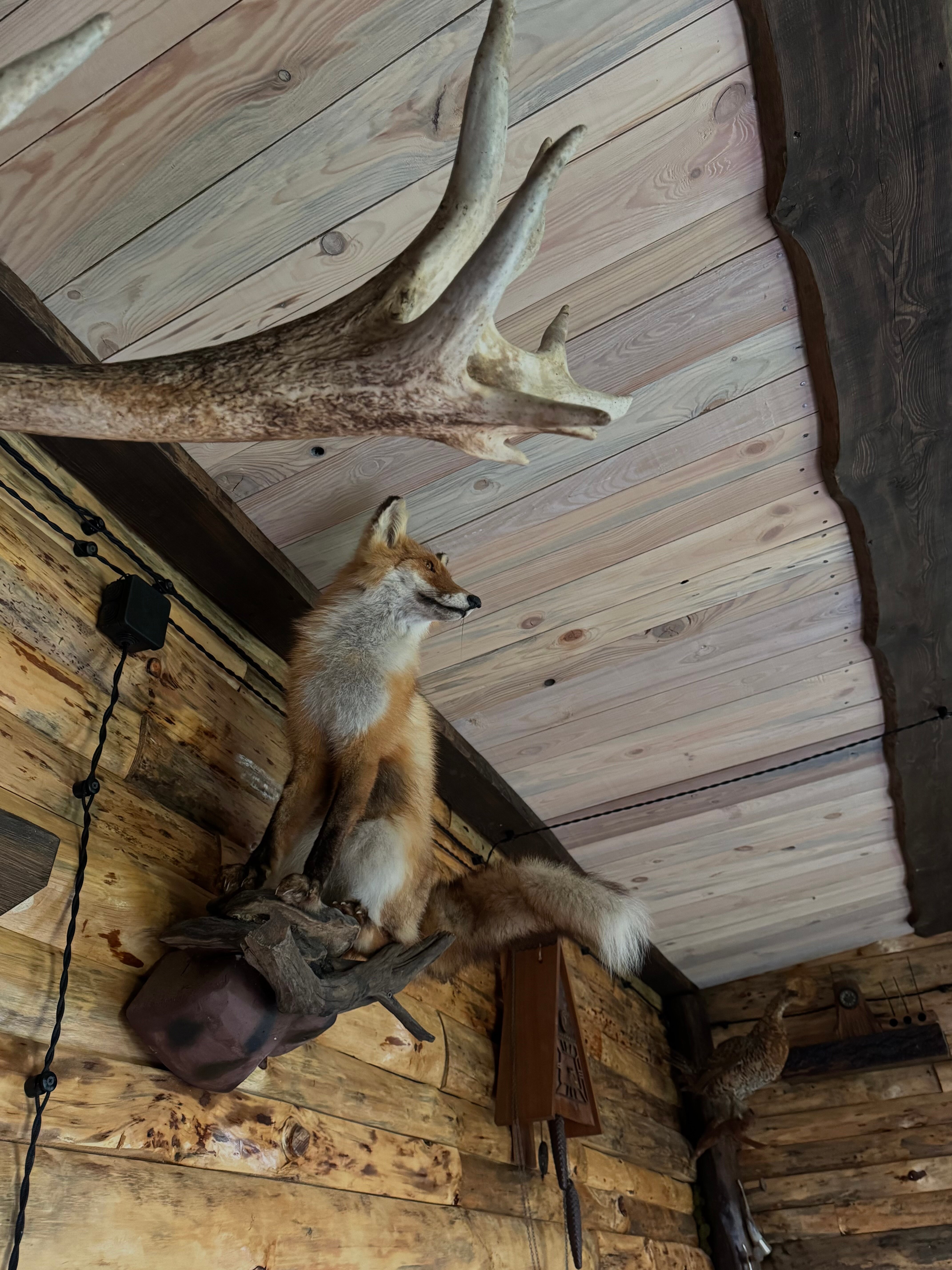 Фото Усадьба La Кум