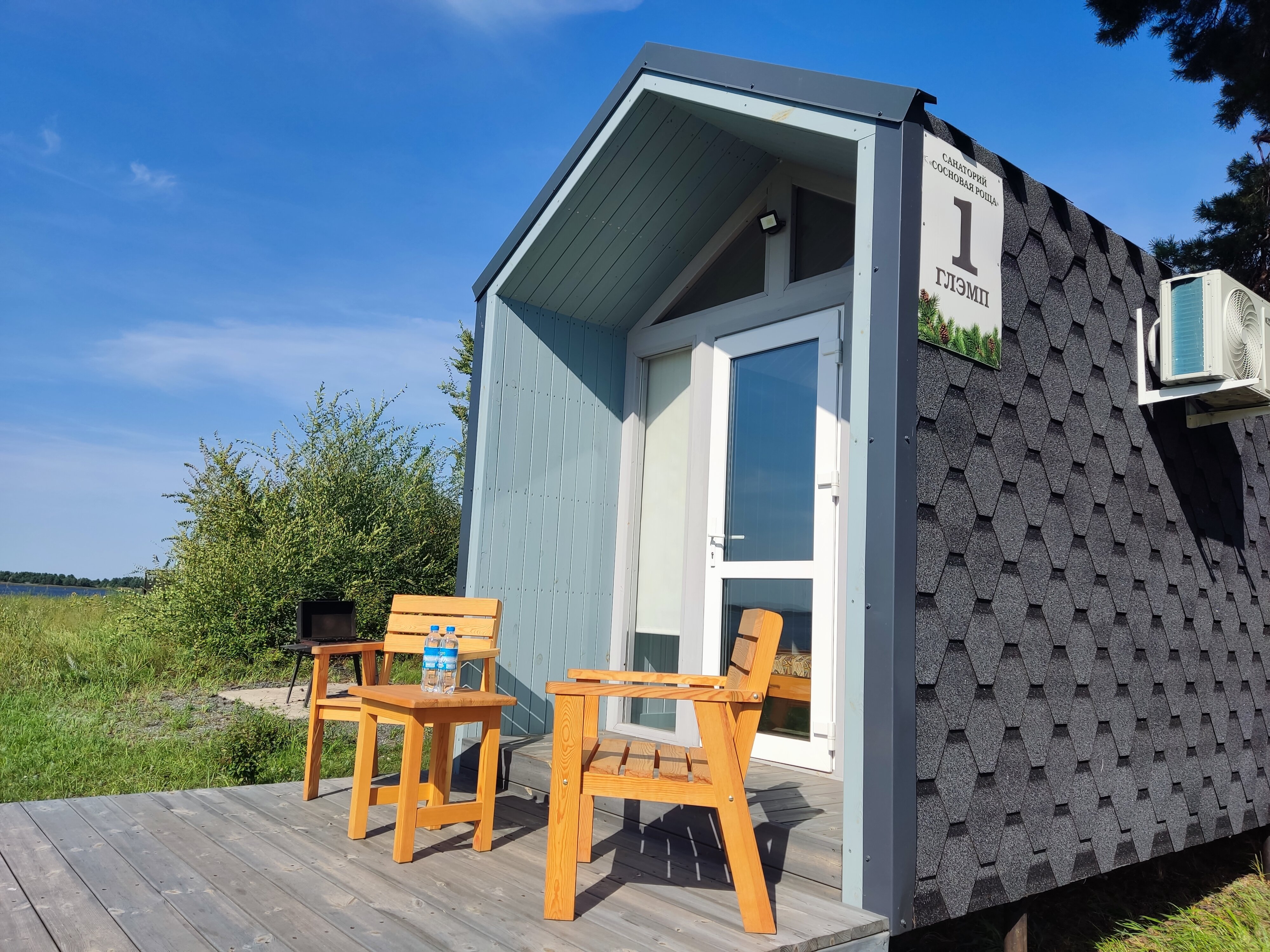 Фото Сосновая роща