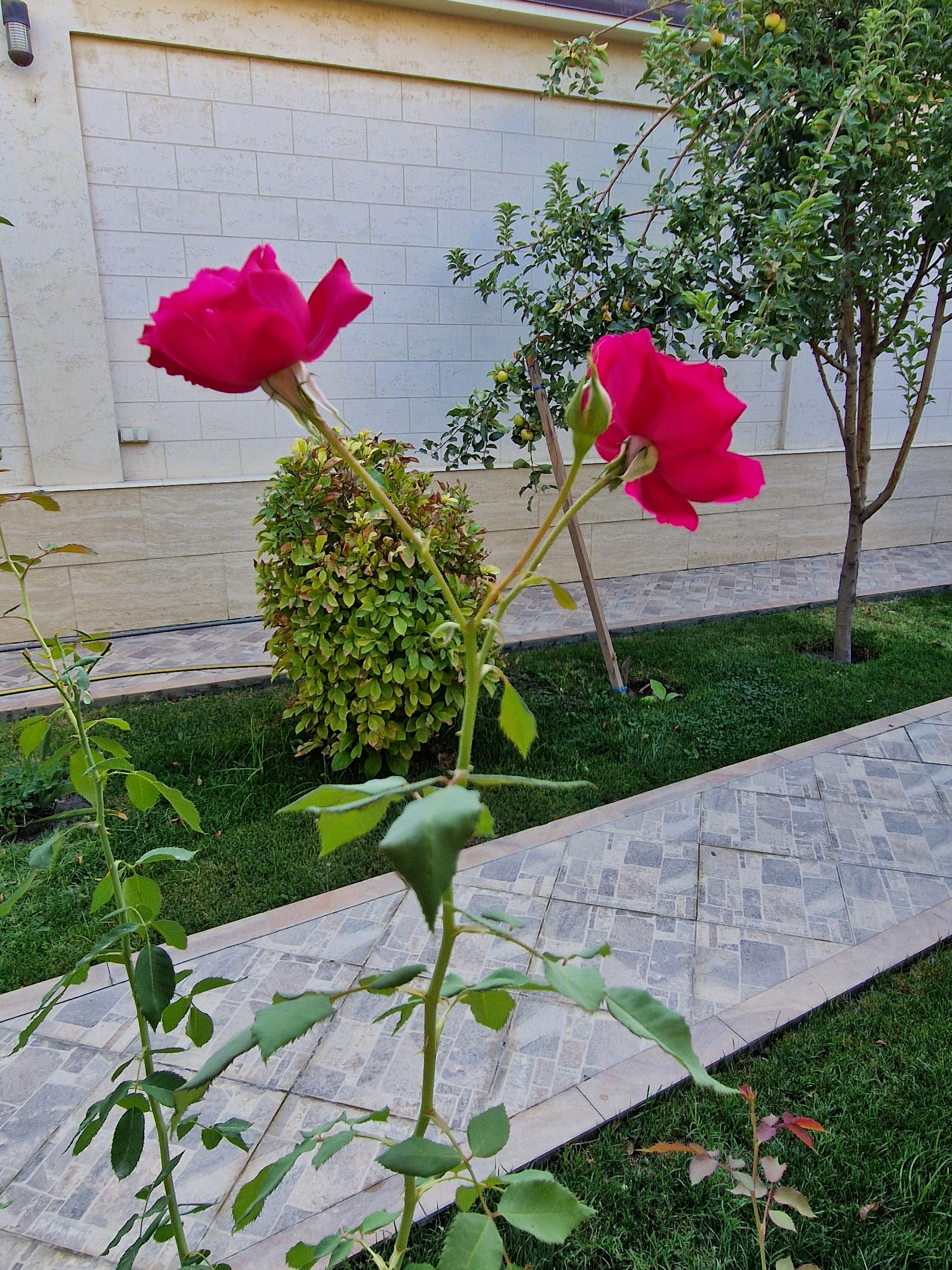 Фото Silk Road Kokand