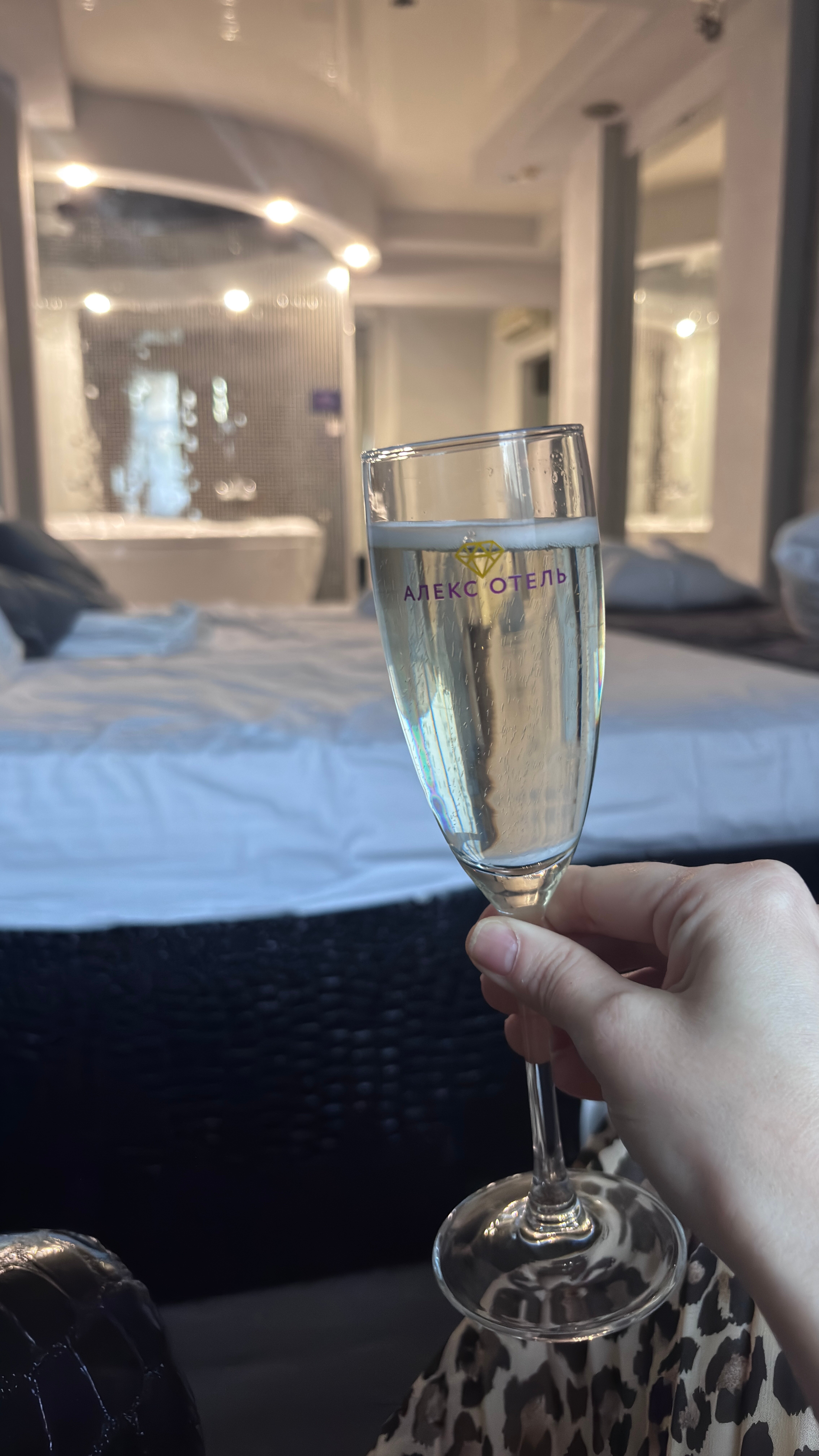 Фото Алекс Отель на Богатырском