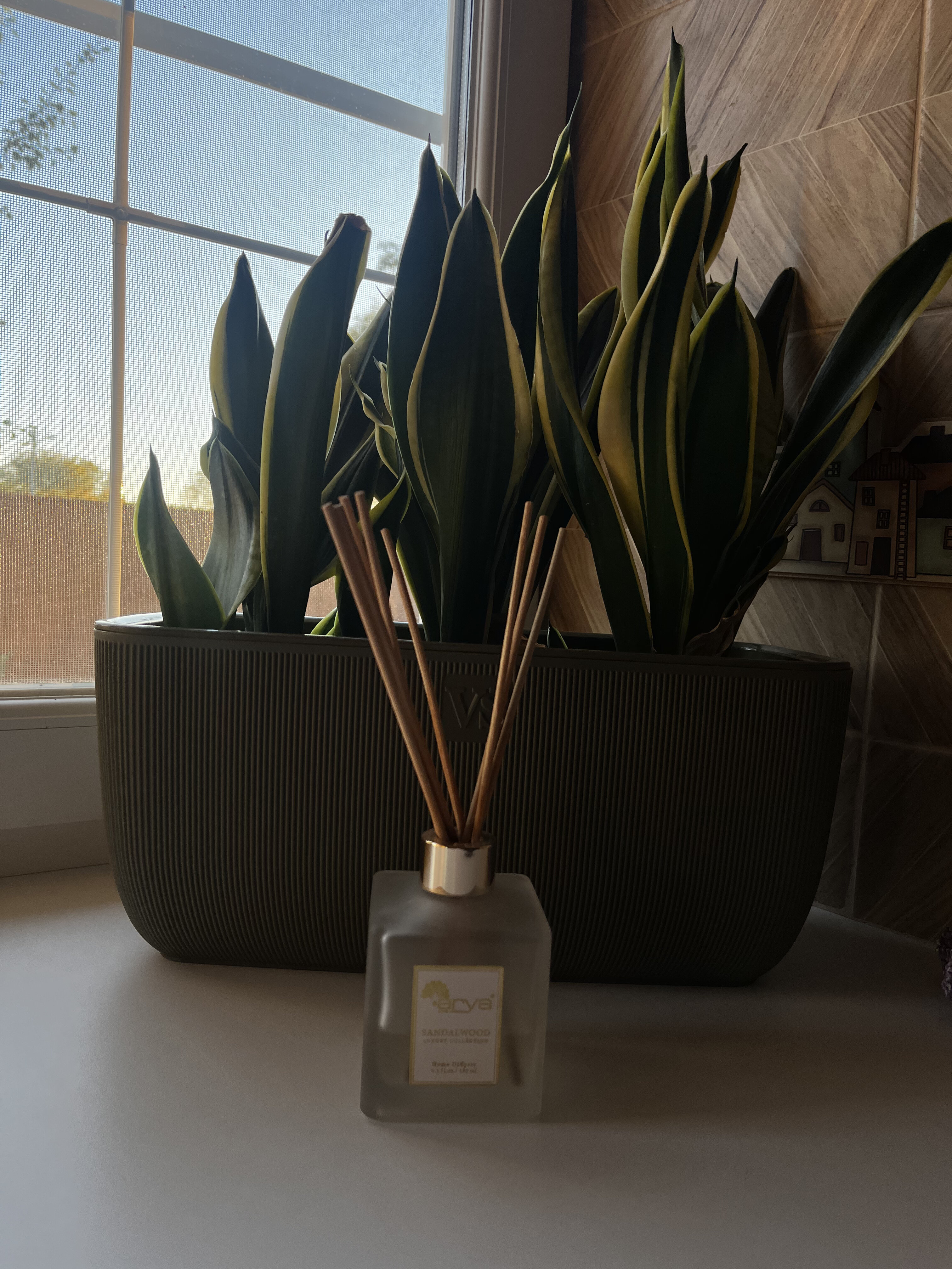 Фото Горыныч в Казаре