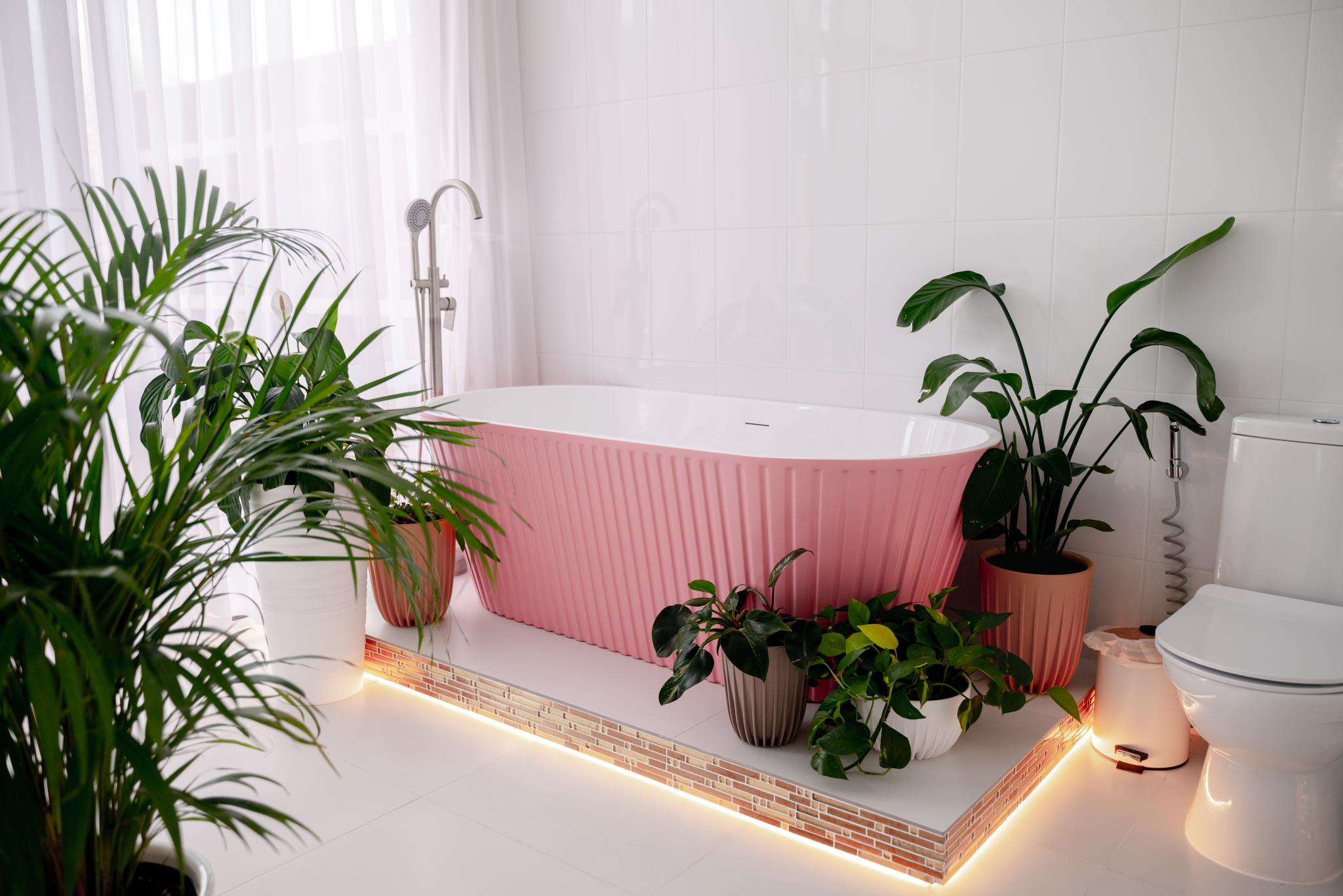 Фото Кавказский Целитель