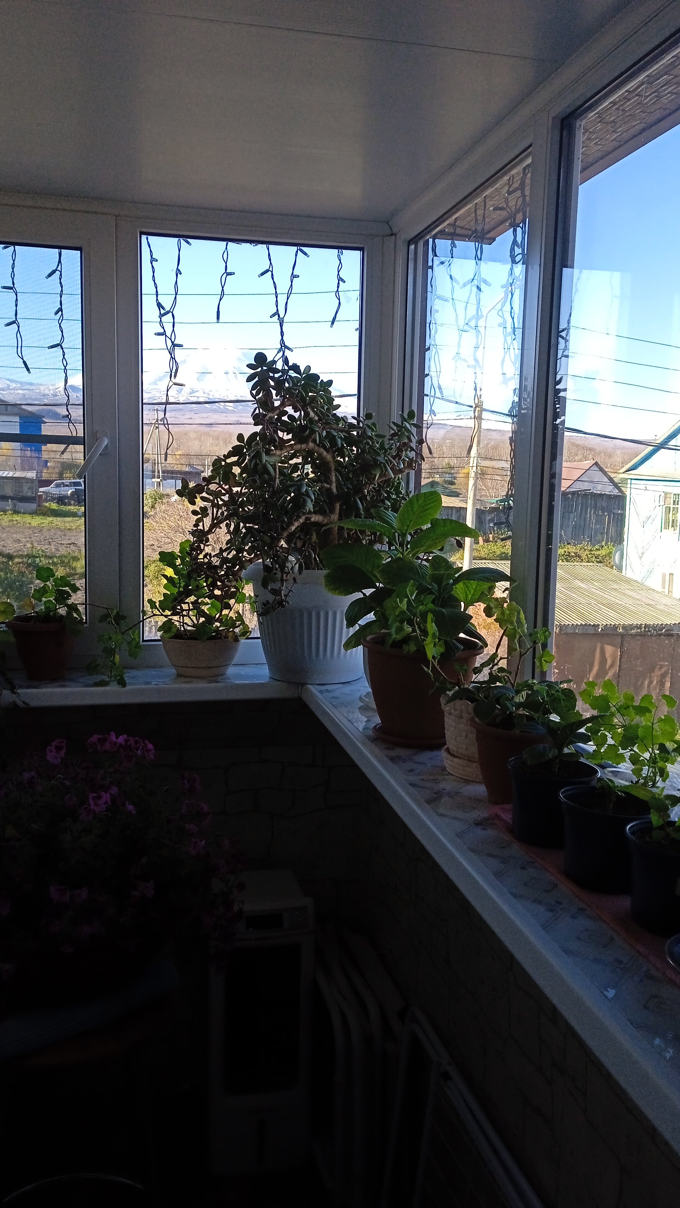 Фото Виктория