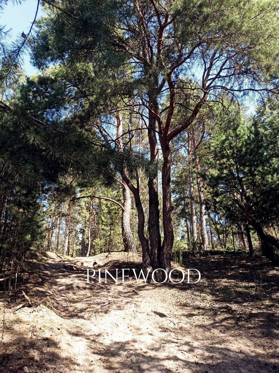 Фото Шёпот Ветра