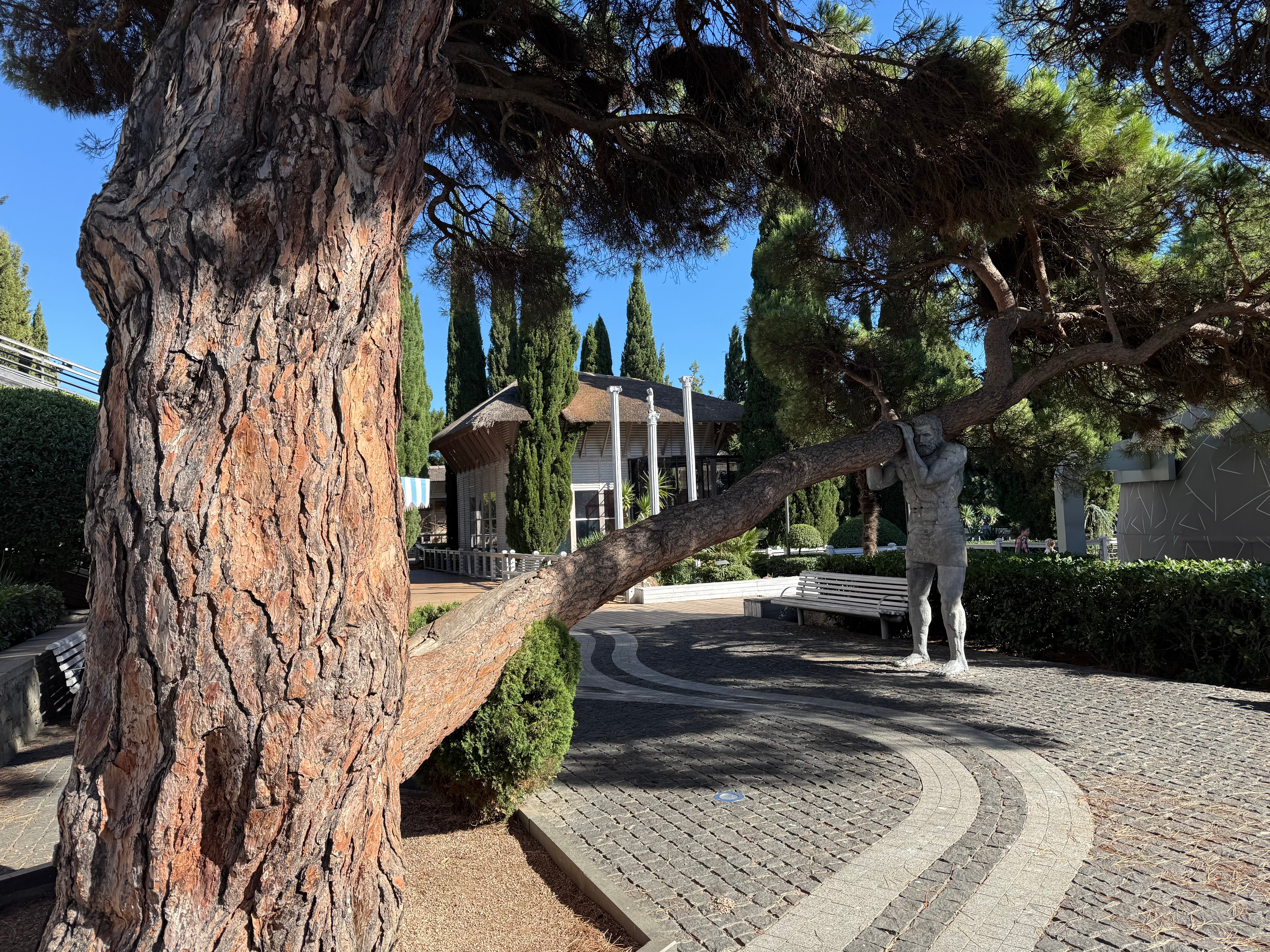 Фото Магарач