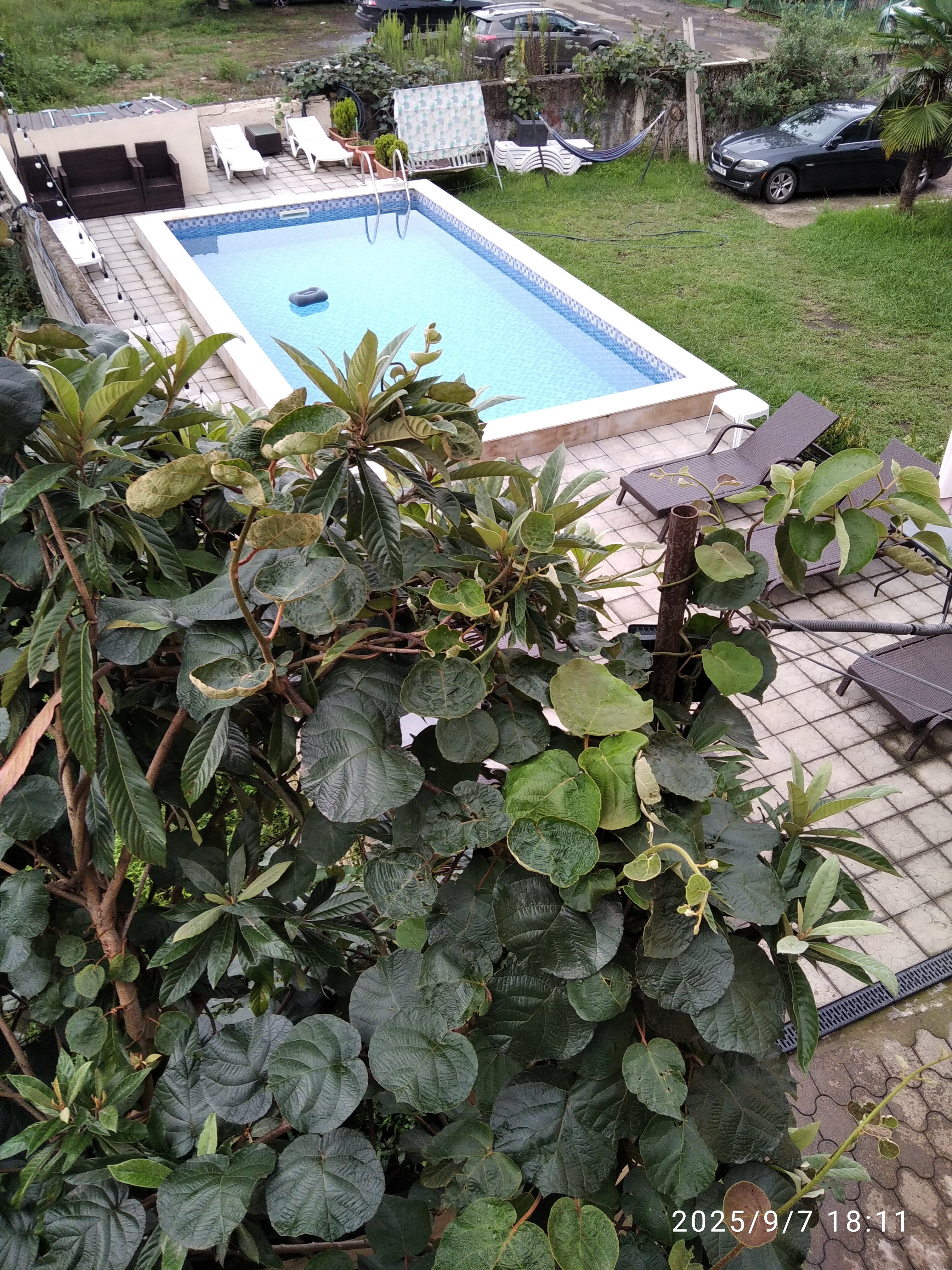 Фото Hotel Crown