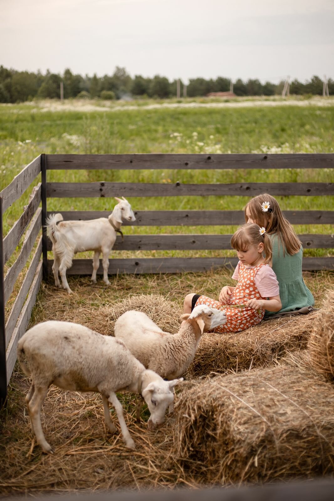 Фото Арт Хаус