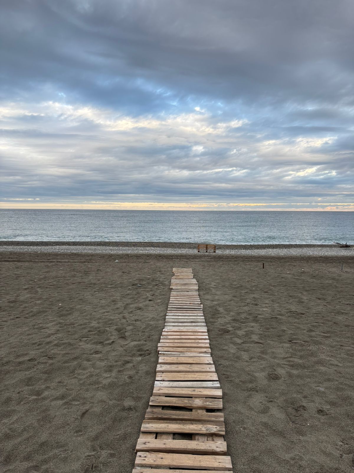 Фото Цитрус 1