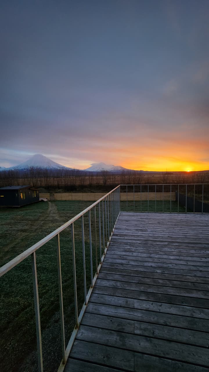 Фото Жимолость