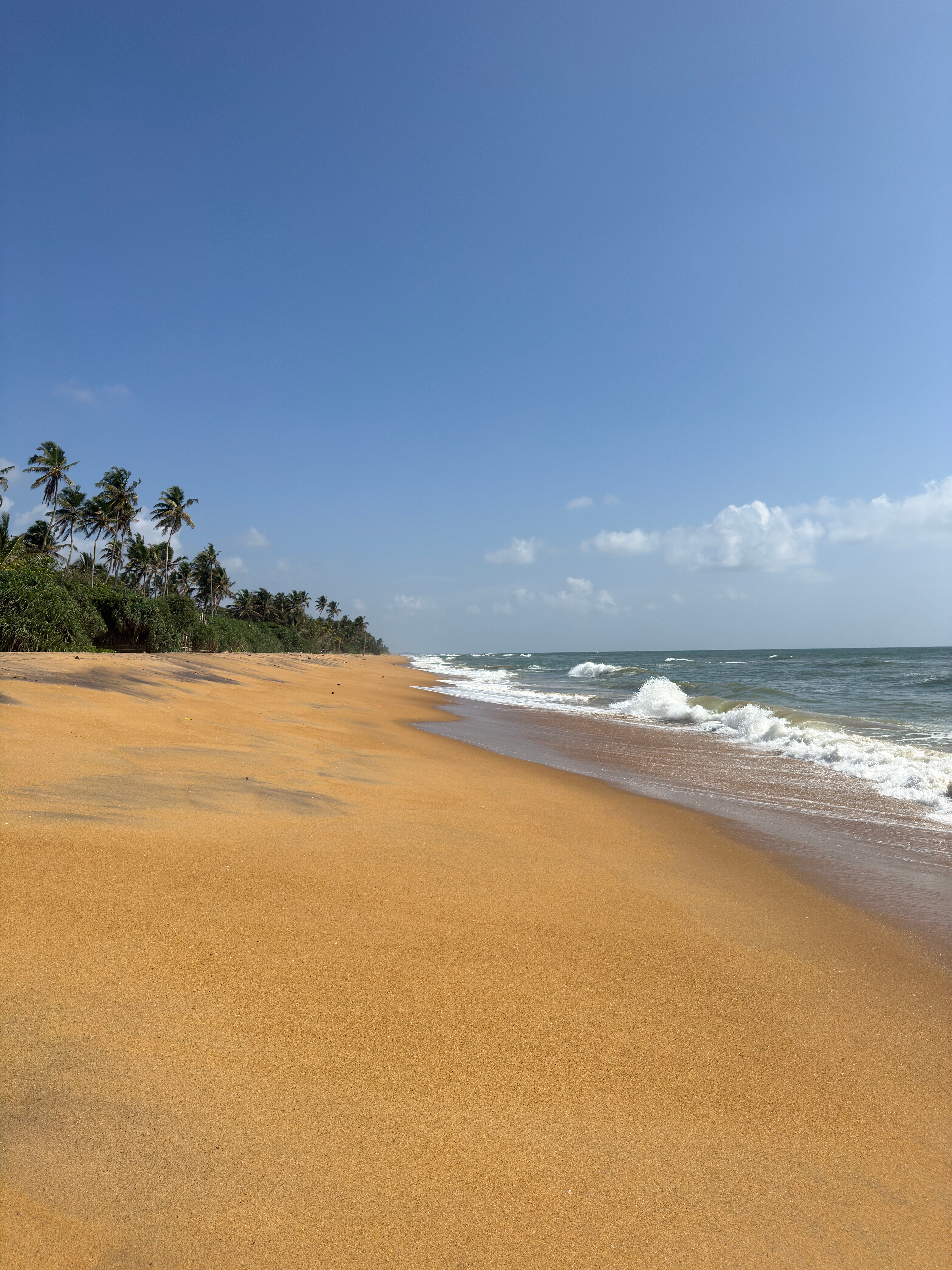 Фото Grand Beach