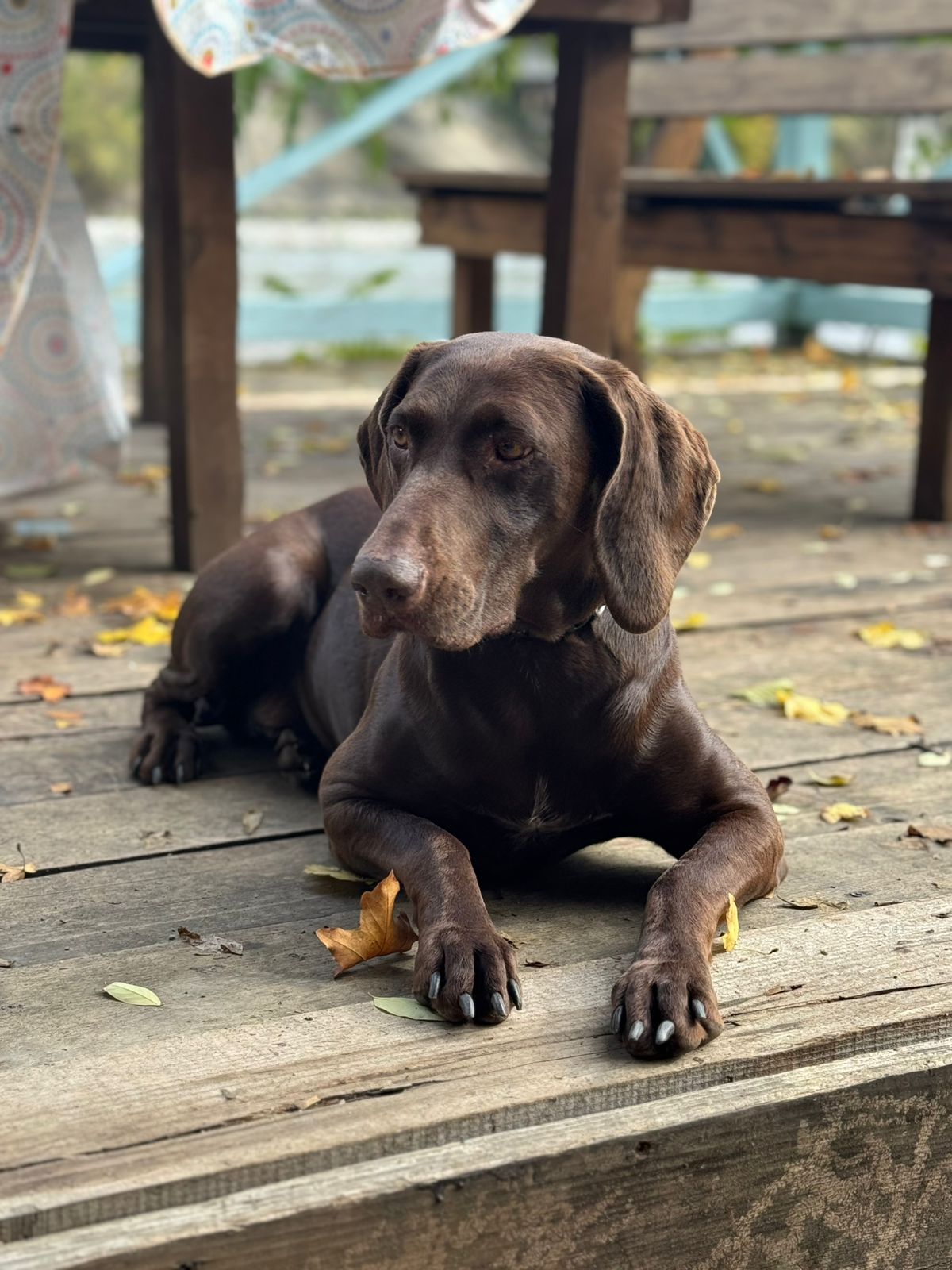 Фото Кактус Арт