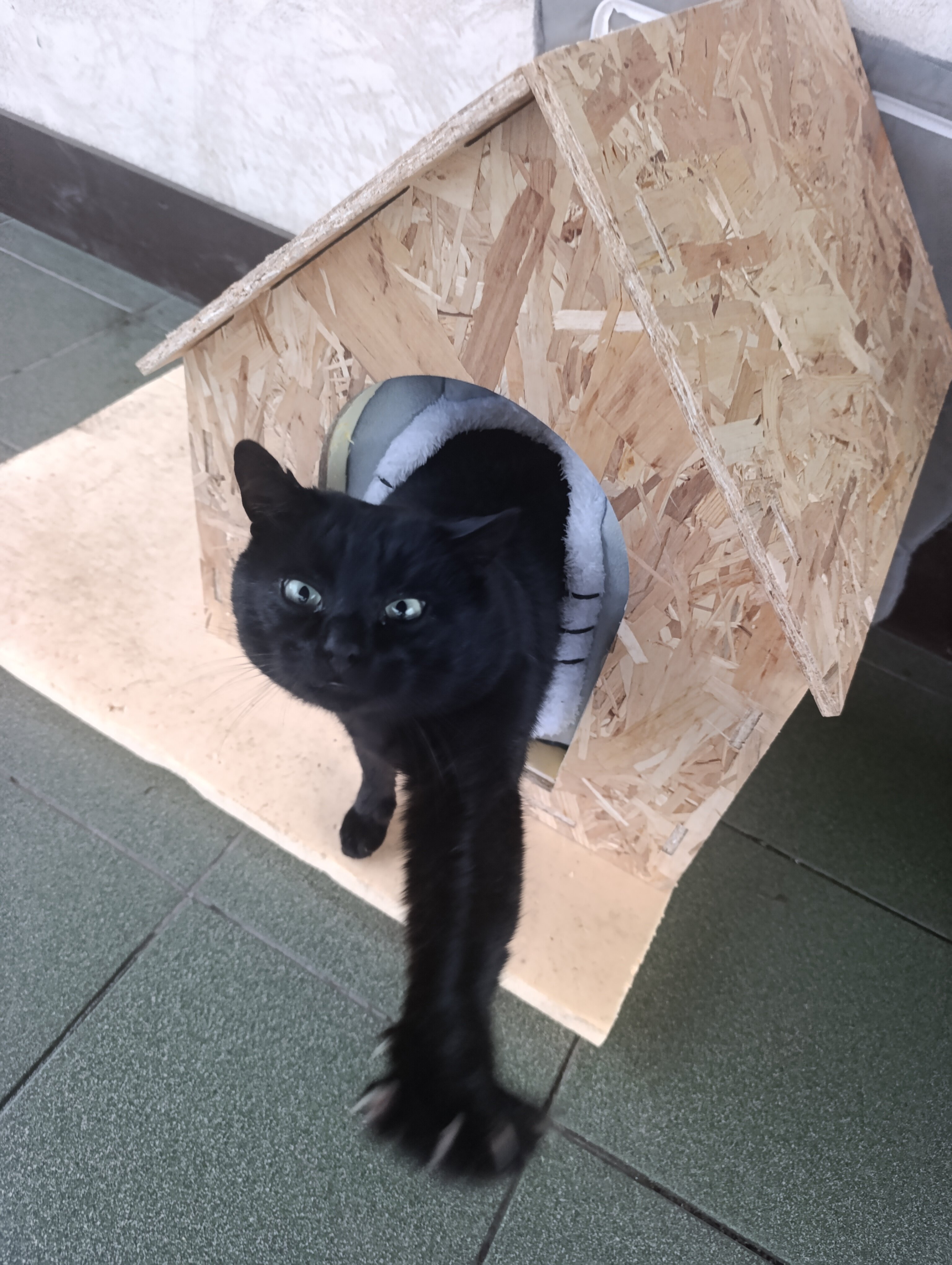 Фото Дом Учёных