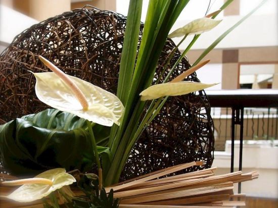 Фото Vivere Hotel