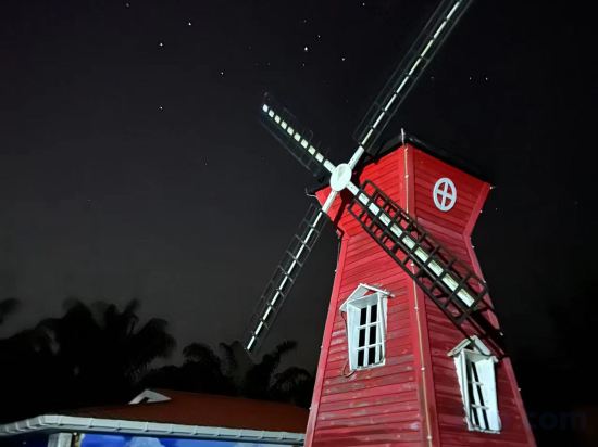 Фото Mushrooms Inn