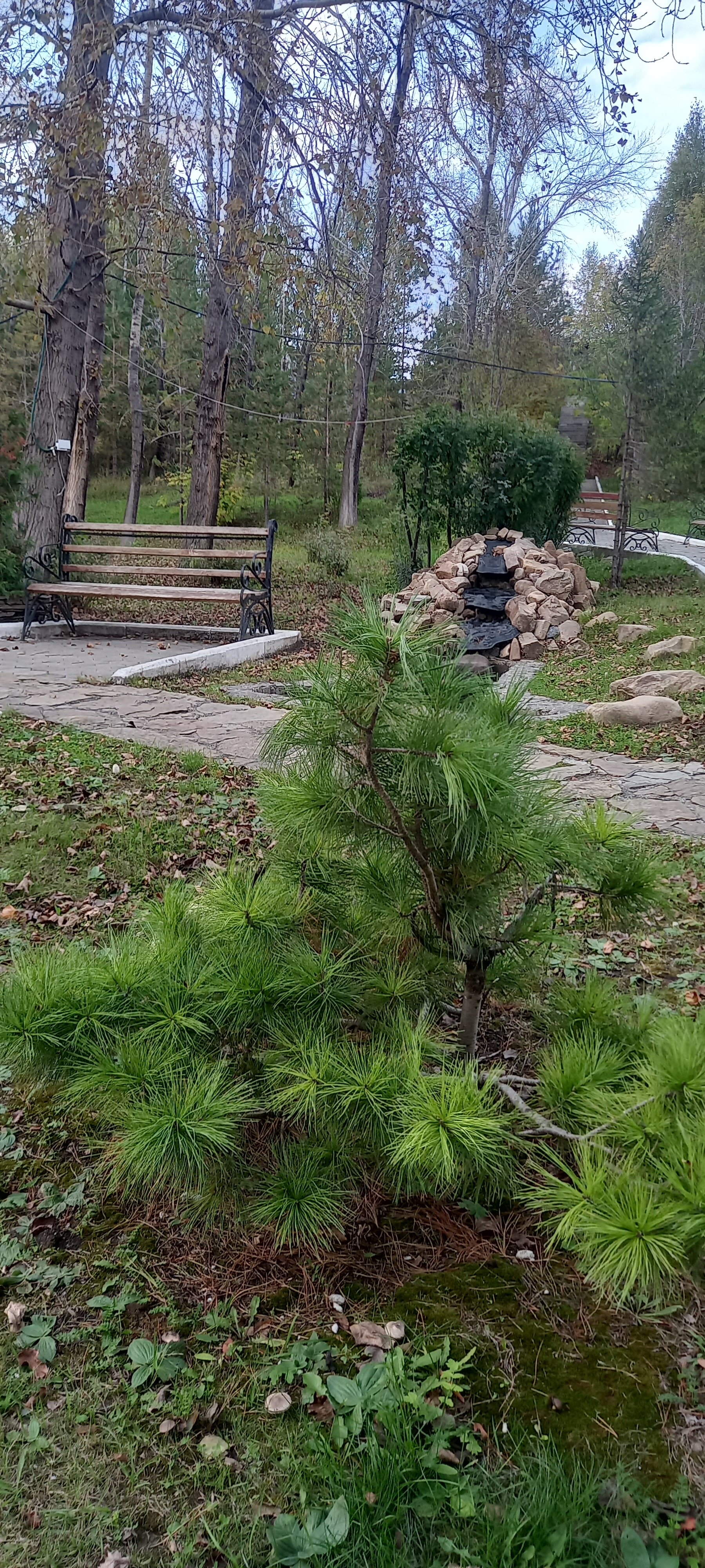 Фото ЛаВита