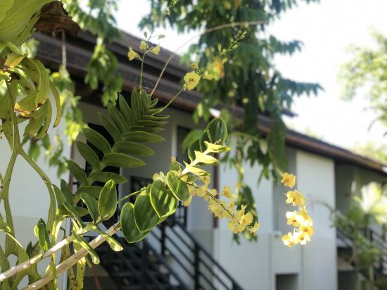 Фото Palm Galleria Resort