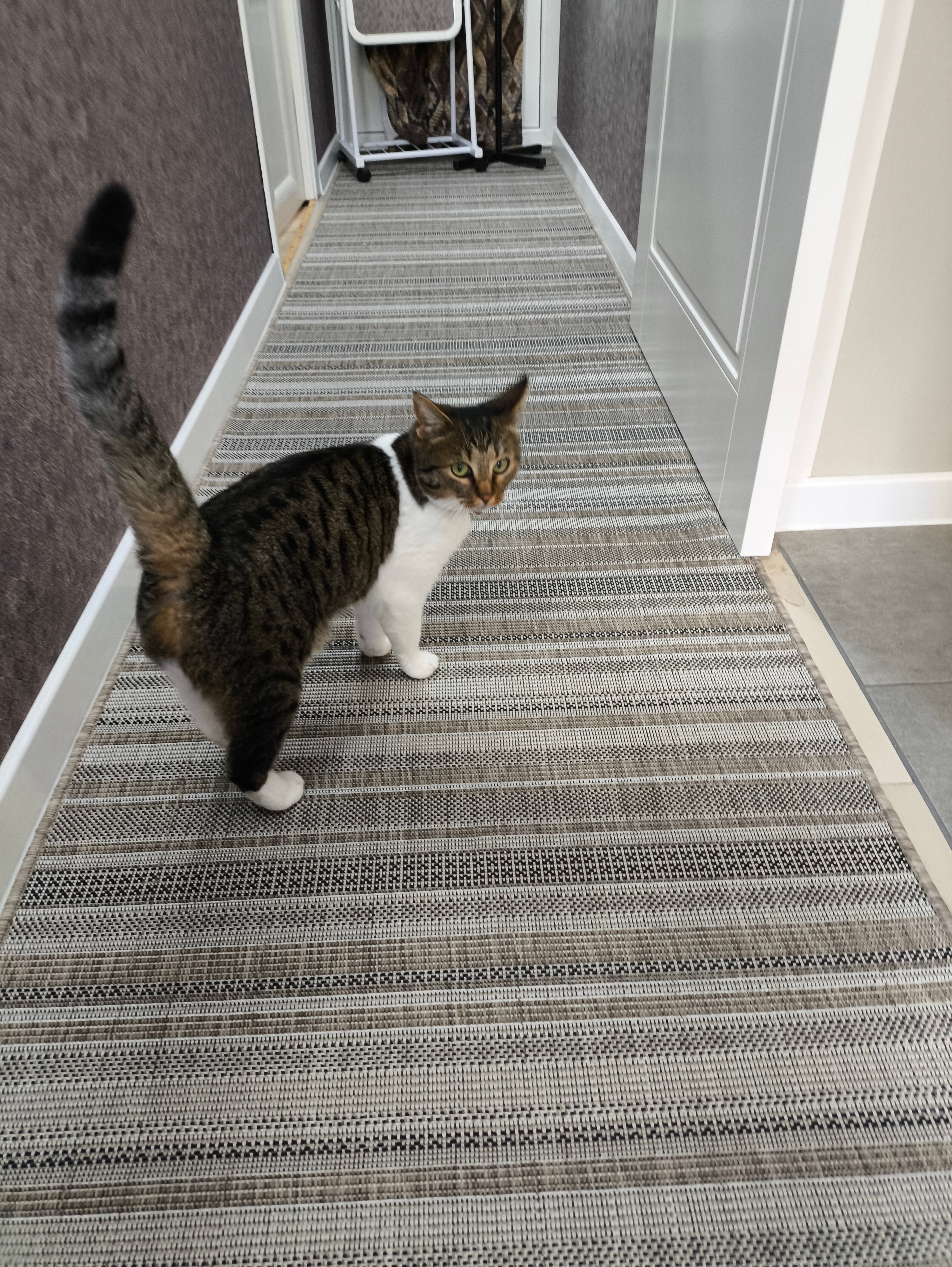 Фото Ля Вилла