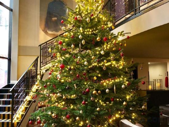 Фото The Augustin Brussels