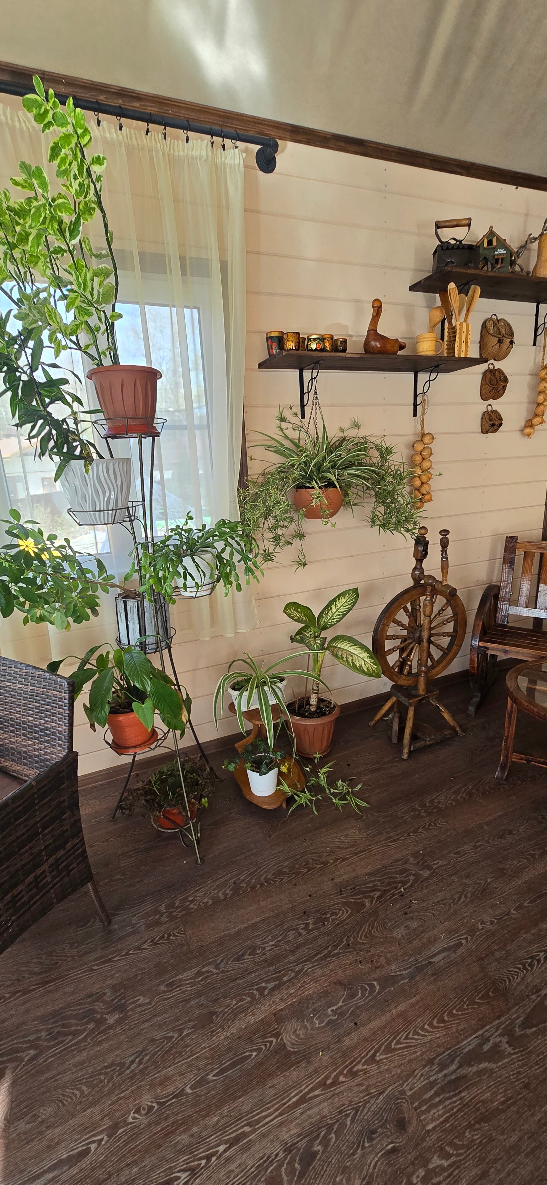 Фото Белая Дача