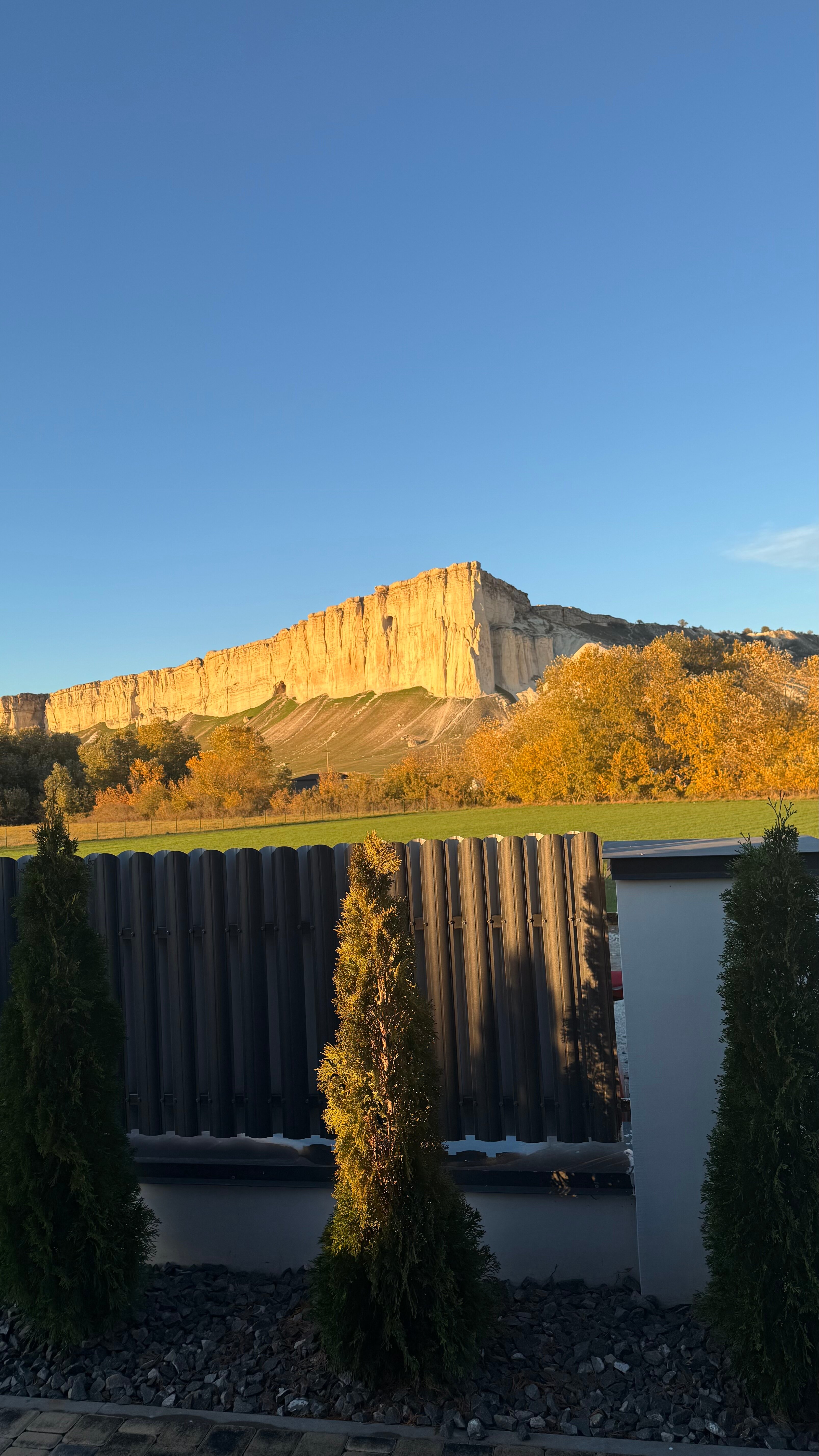 Фото Шелест