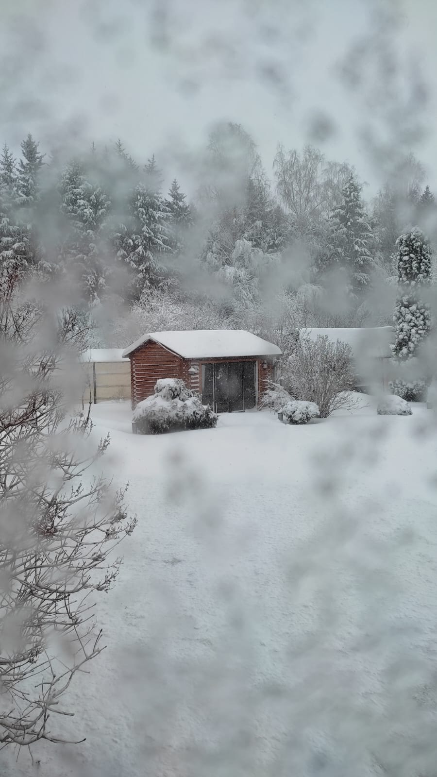 Фото Агроусадьба Смольница