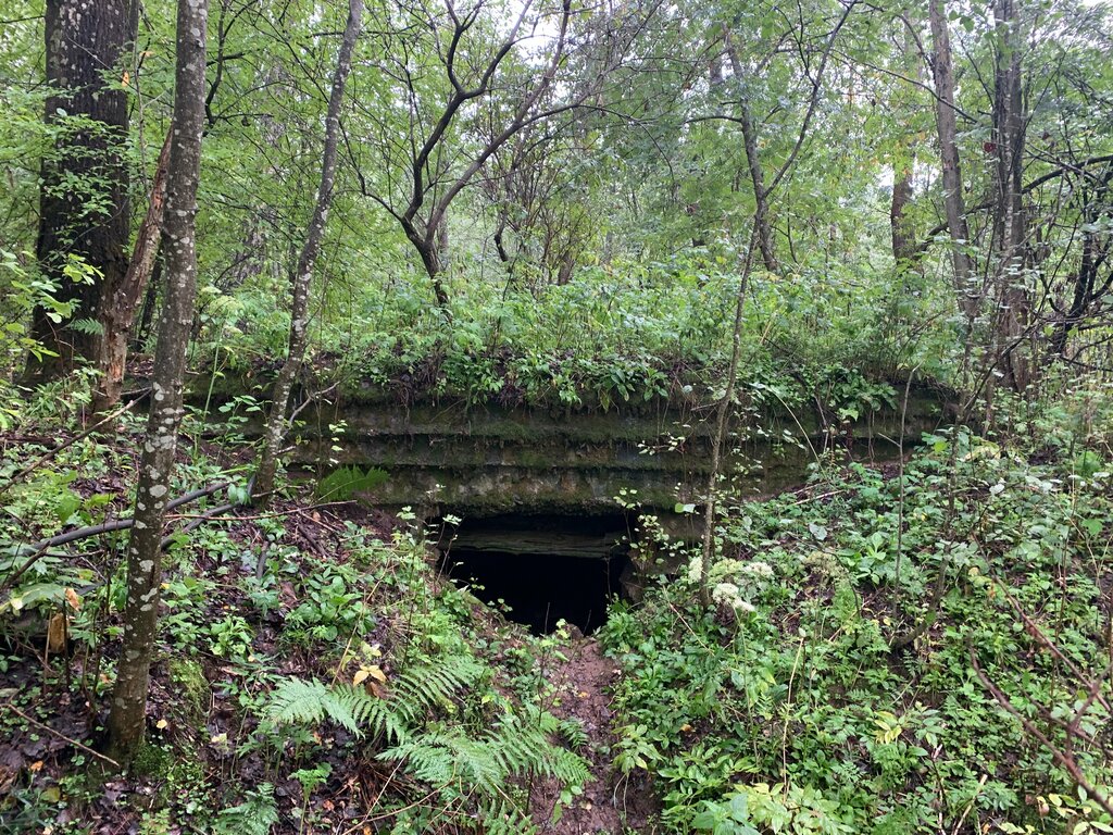 Landmark, attraction Вяземский УР времён Великой Отечественной войны, ДОТ, Smolensk Oblast, photo