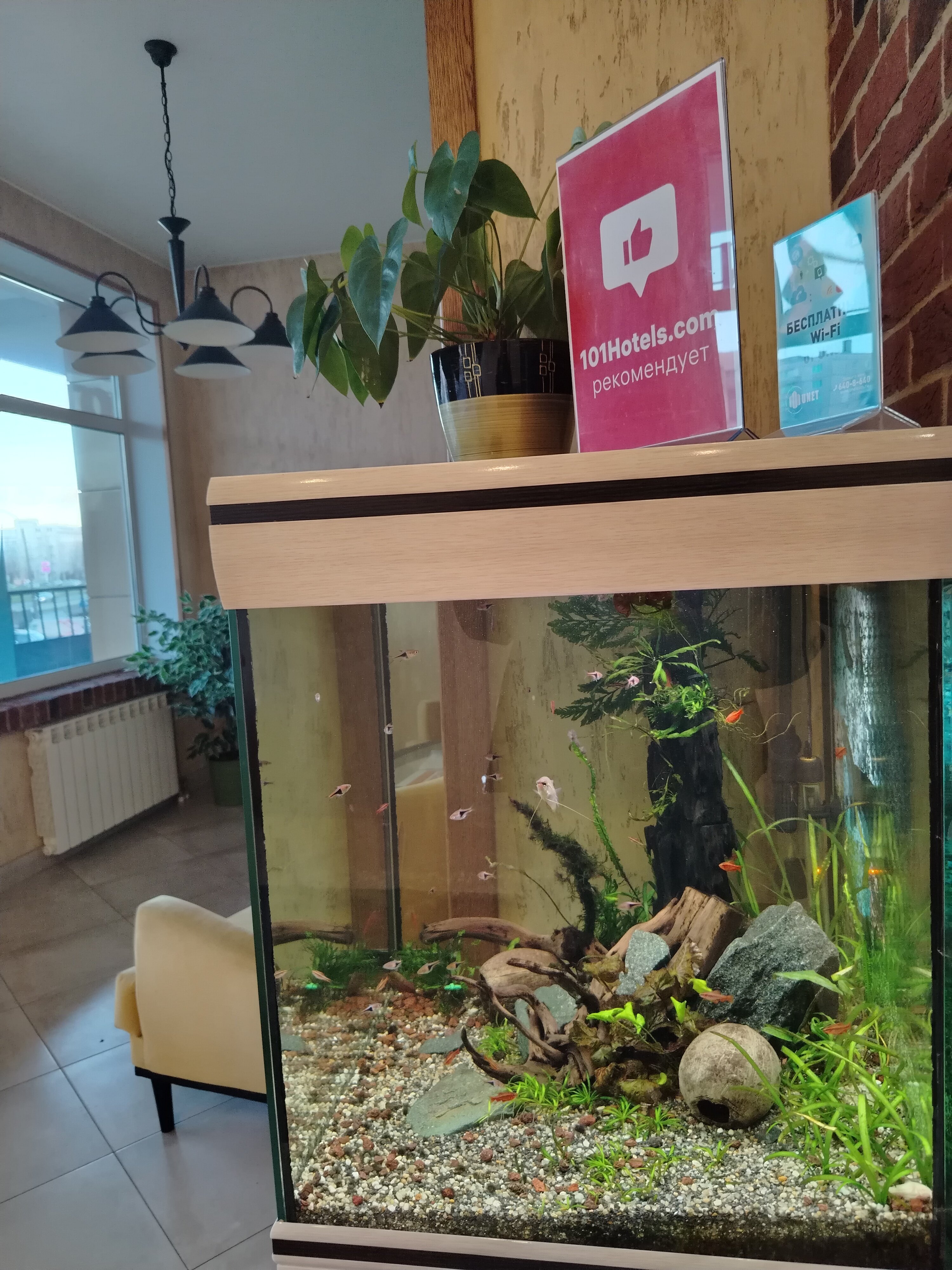 Фото Подушка