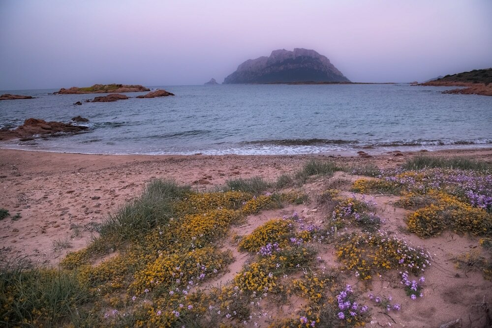 Фото Hotel Ollastu