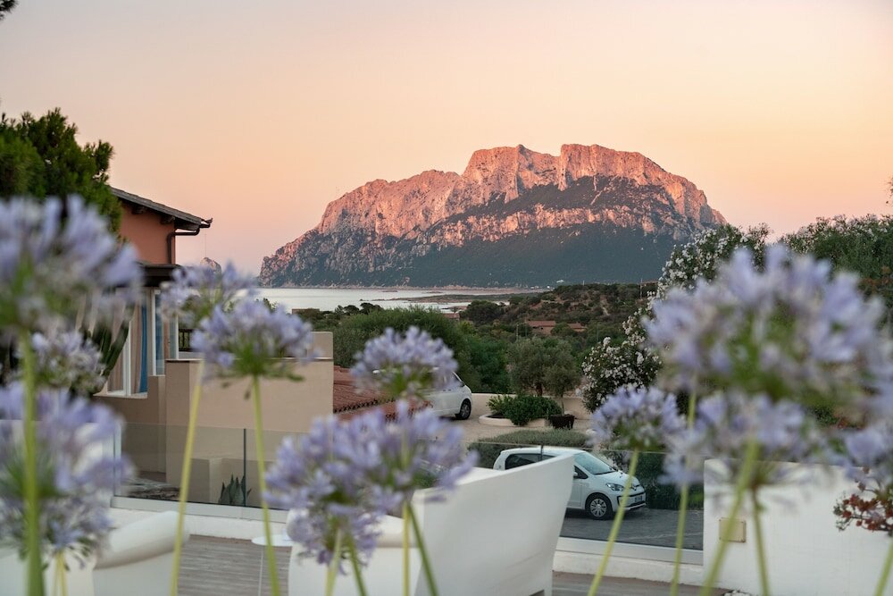 Фото Hotel Ollastu