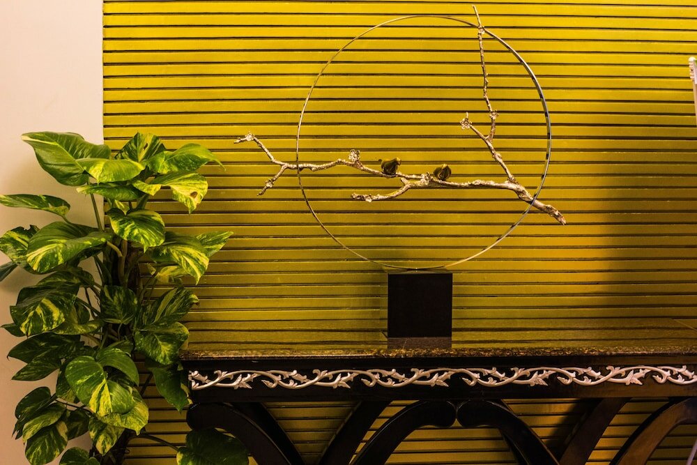 Фото Hotel Bengal Canary Park