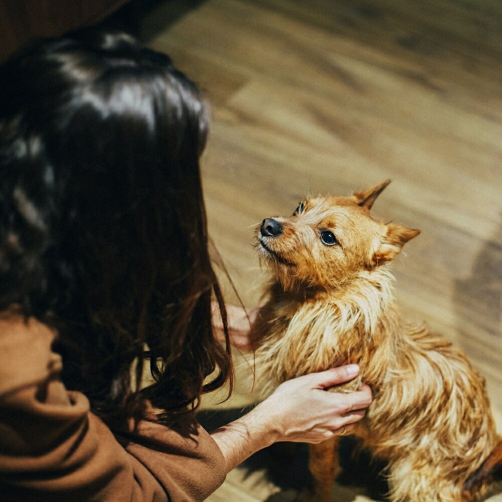 Фото Icon Wipton