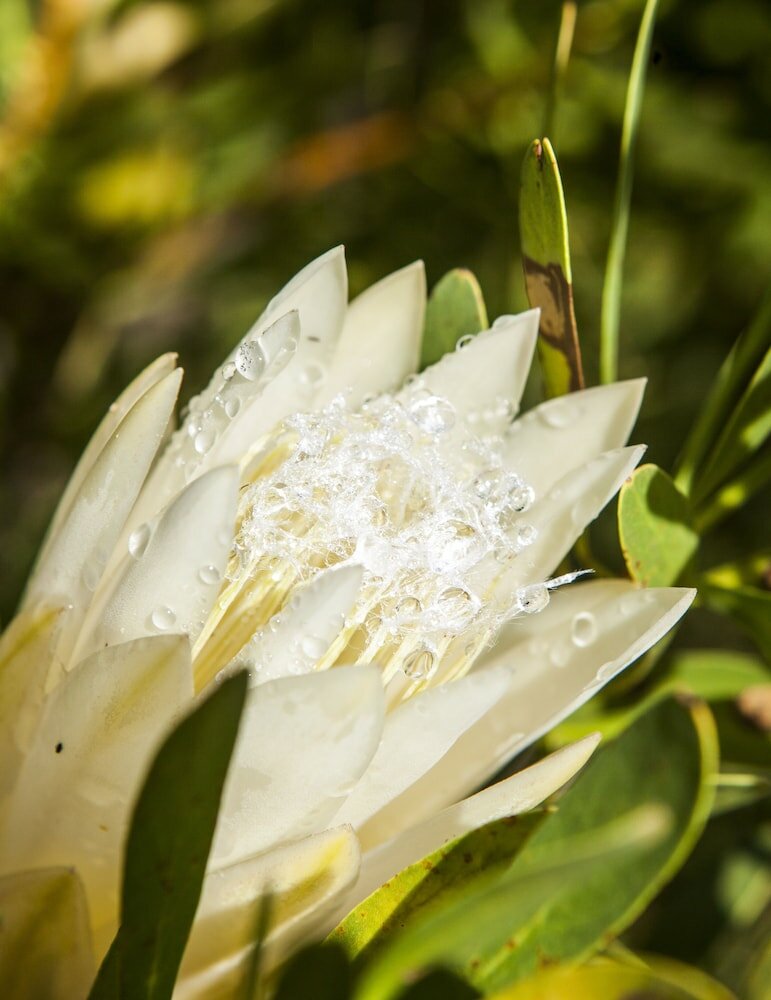 Фото Ilita Lodge