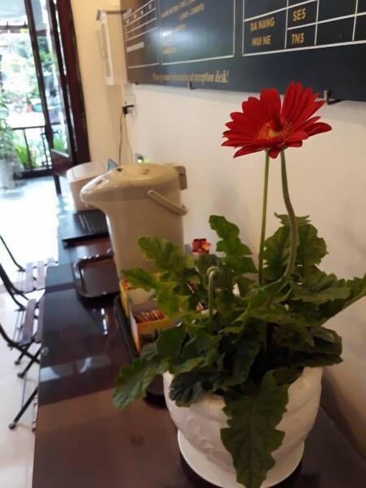 Фото Hoi An Nhi Nhi Hotel