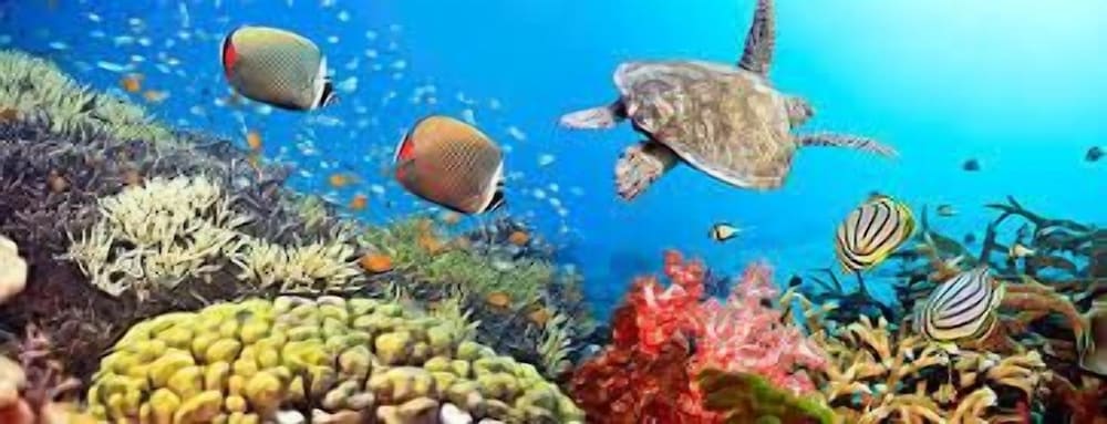 Фото Southern Star Club