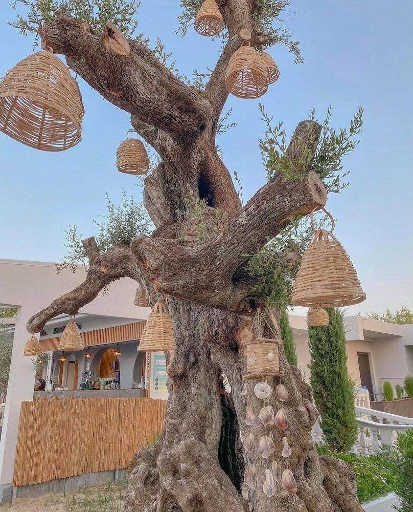 Фото Venus Resort