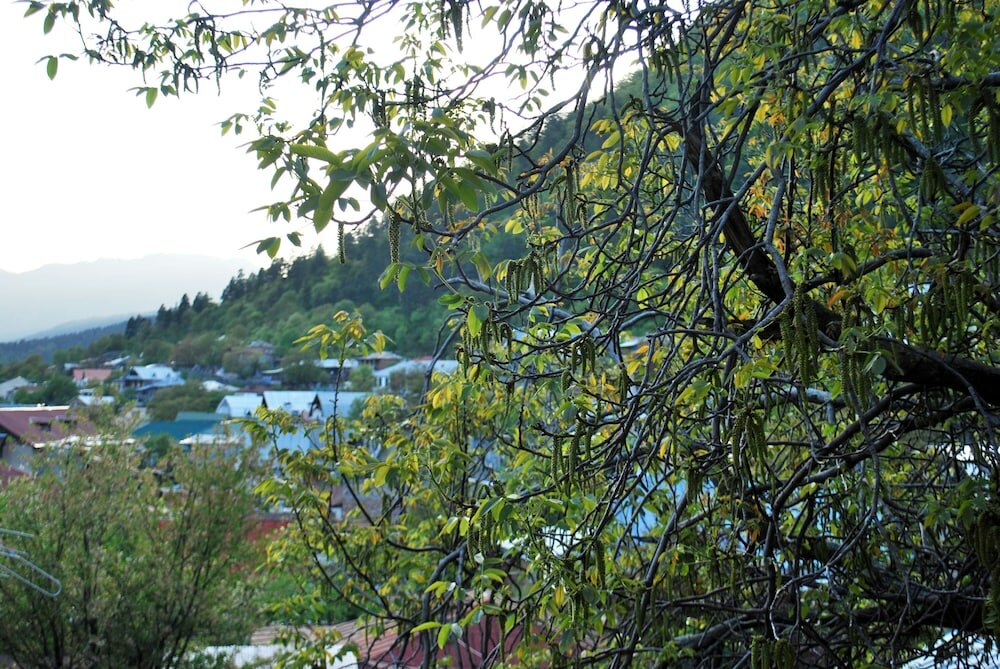 Фото Hotel Old Borjomi