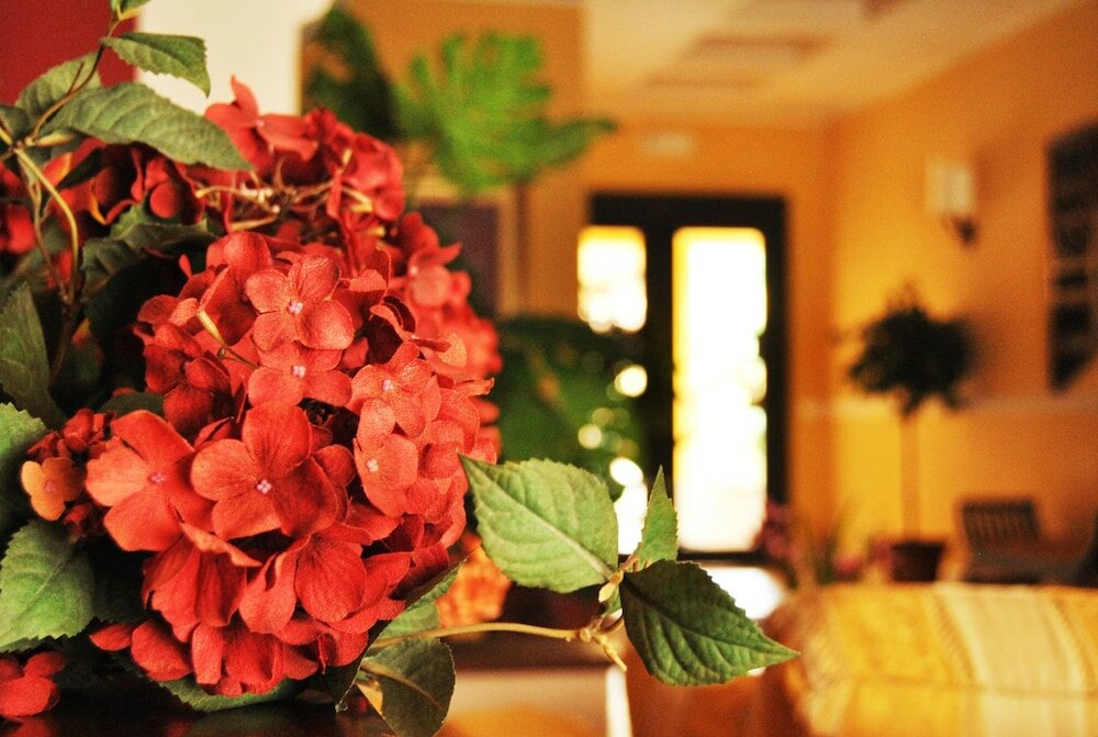 Фото Greta Rooms Hotel