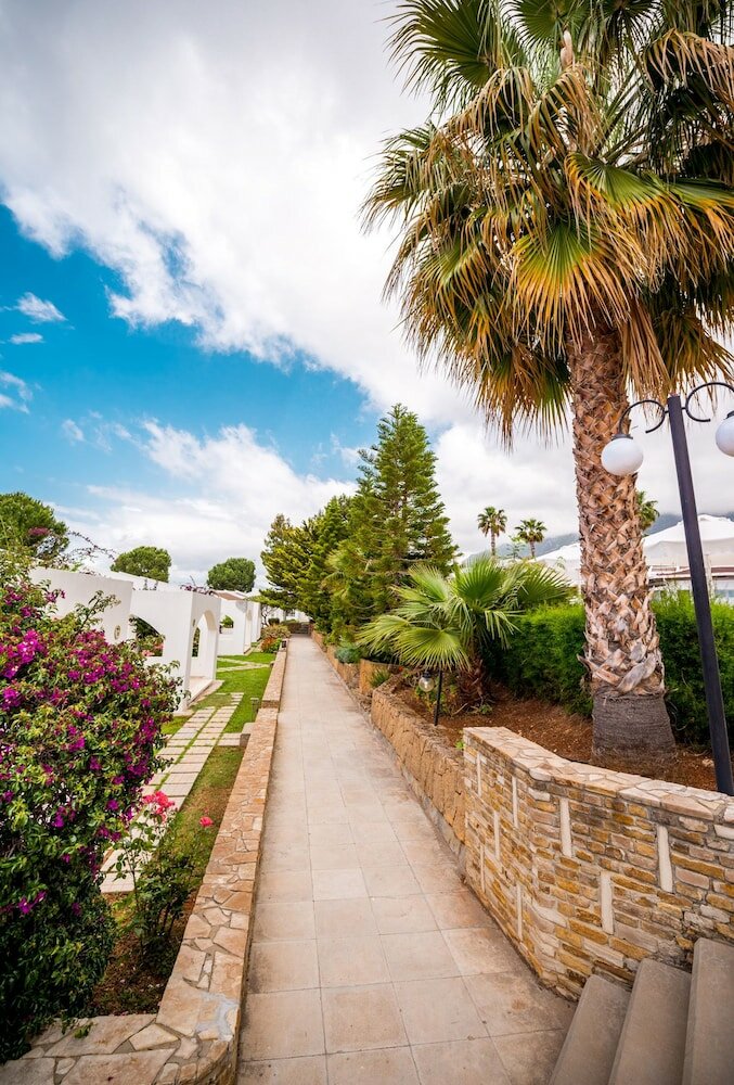 Фото The Olive Tree Hotel