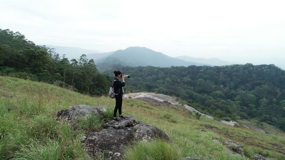 Фото Ayur County