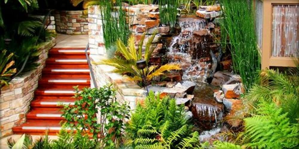 Фото Tradewinds Carmel