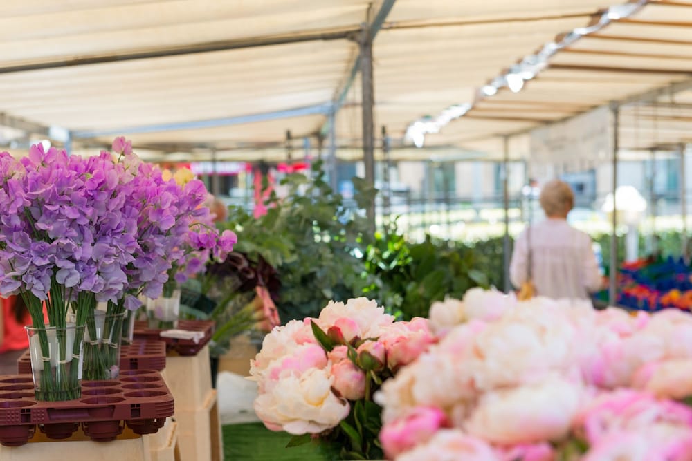 Фото 51317934571