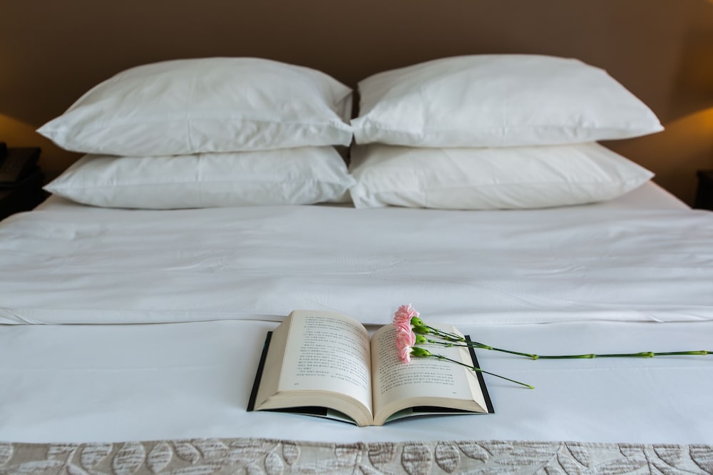 Фото The Alcove Library Hotel