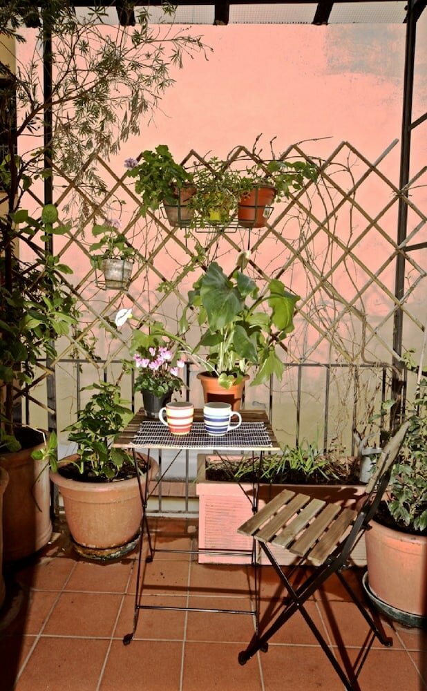 Фото Faenza Novella